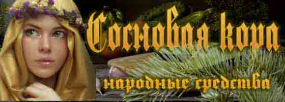 Сосновая кора: лечение корой сосны