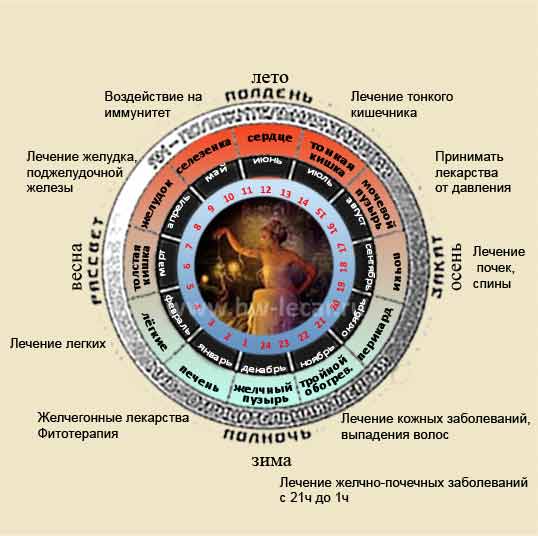 Биоритмы