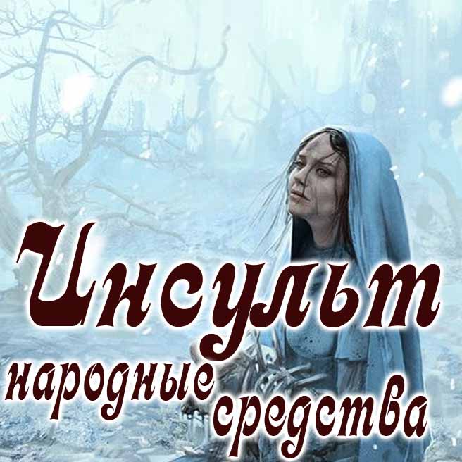 Народные средства от инсульта