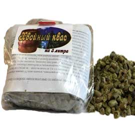 Хвойный квас, превью