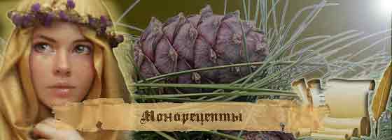 Хвойный лекарь.Народные средства